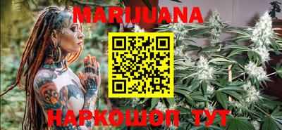 прущие крисы Камышлов