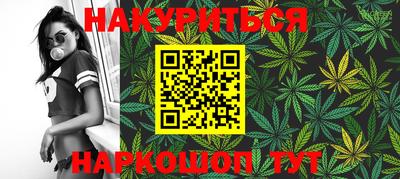 прущие грибы Кандалакша
