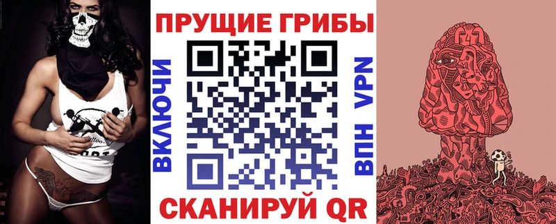 как найти   Краснокаменск  Галлюциногенные грибы ЛСД 